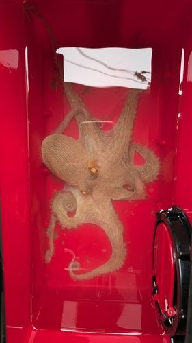 沖洲マリンピア