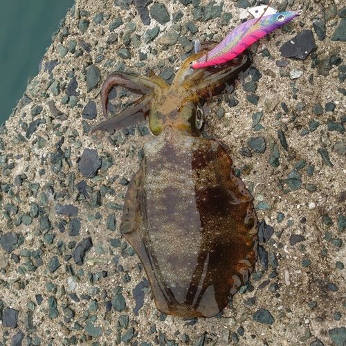 北木島