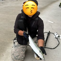 サゴシ