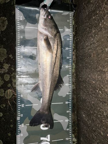 那珂川河口