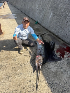 バショウカジキの釣果