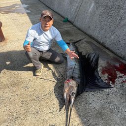 バショウカジキ