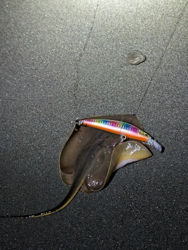 鵠沼海岸