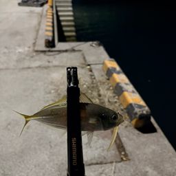アジ