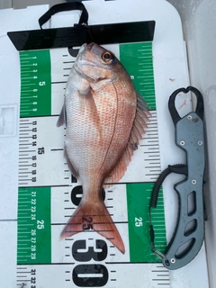 タイの釣果
