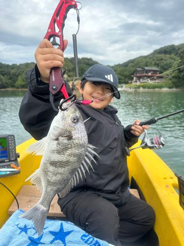 伊万里湾