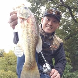 ブラックバス