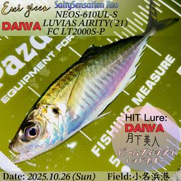 アジ