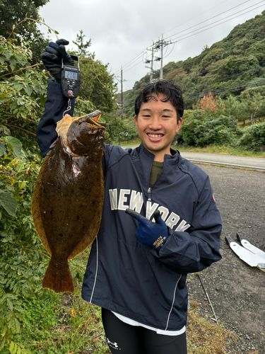 ヒラメの釣果