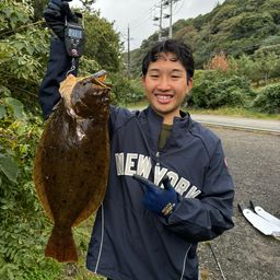 ヒラメ