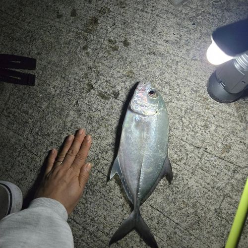 糸満漁港