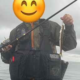 カマス