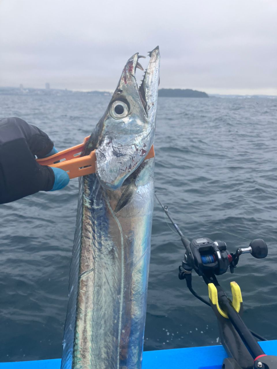 アングラーナーヒャンさんの釣果 2枚目の画像