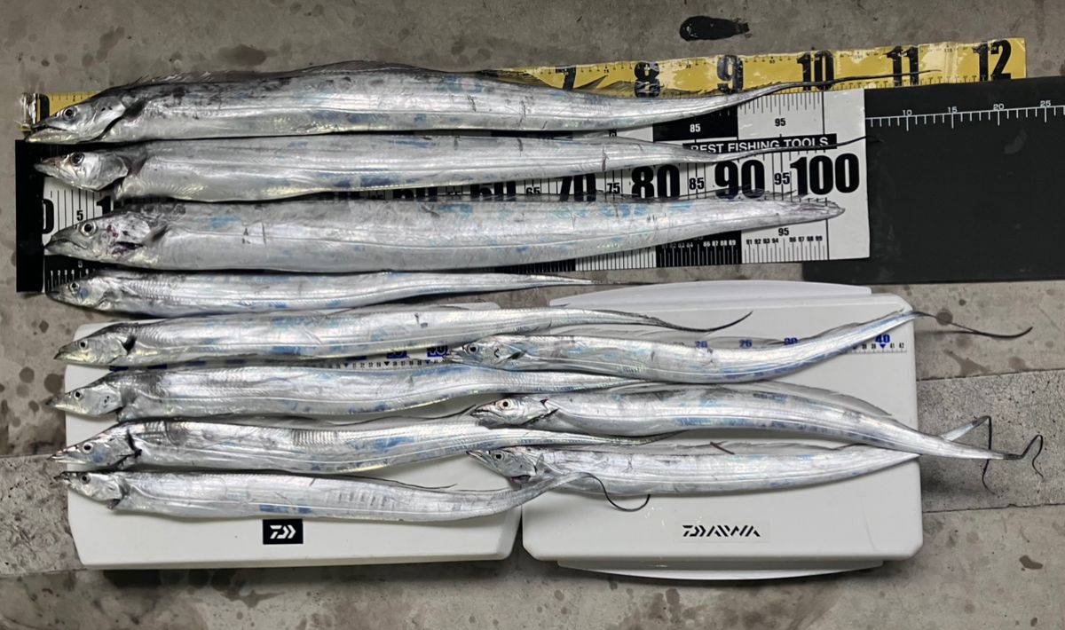 アングラーナーヒャンさんの釣果 3枚目の画像