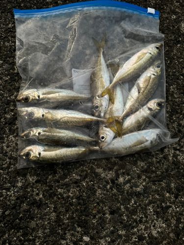 清水港