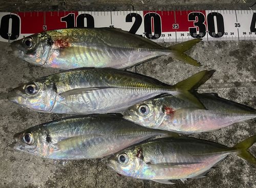 和歌浦湾