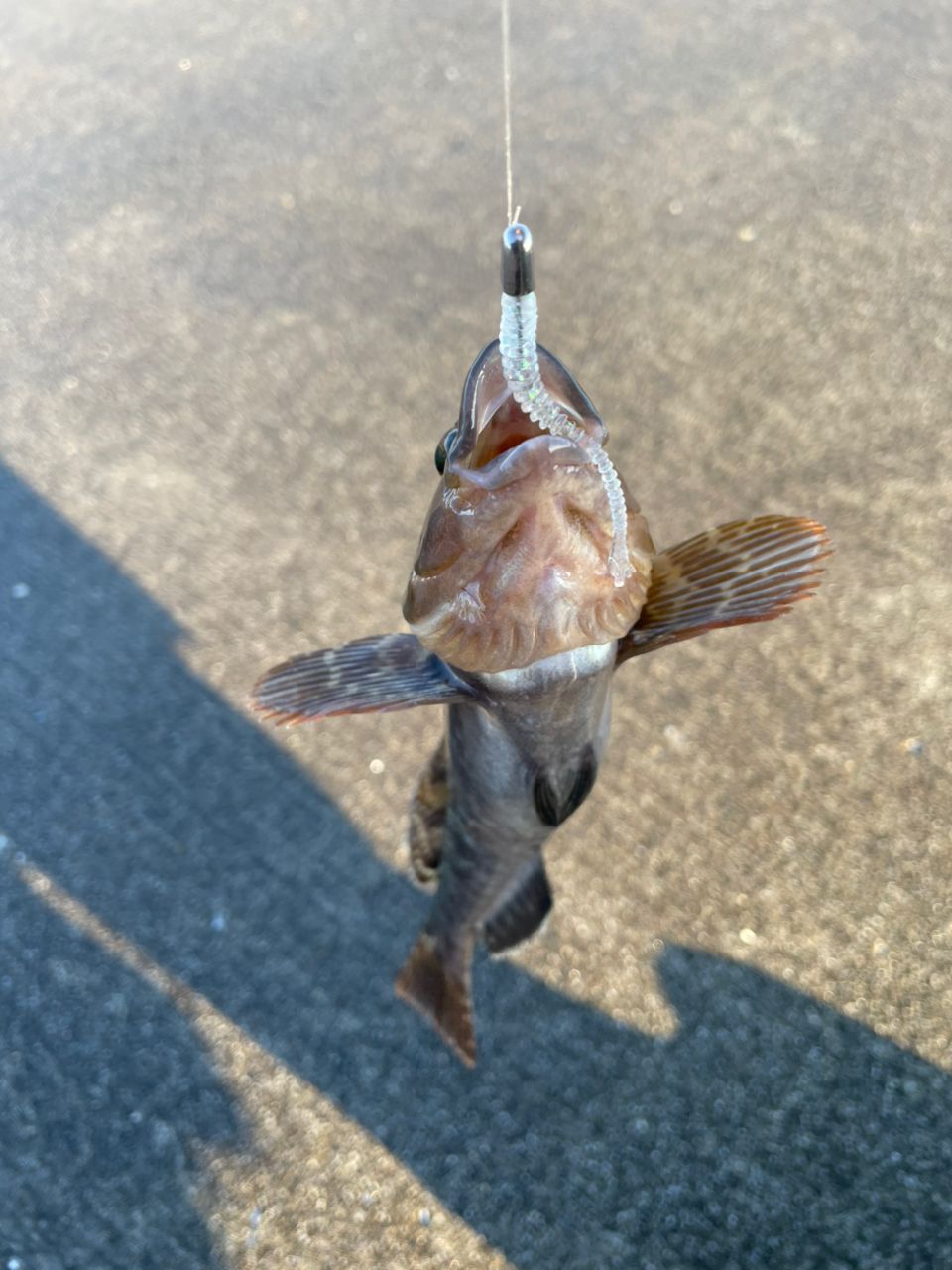 ダイワ　月下美人MX 78ML-T ・N ダイワ(Daiwa) 月下美人 MX 78ML-T・N(2ピース) 05802612