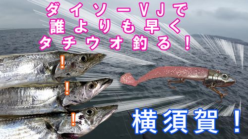 タチウオの釣果