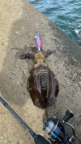 三厩湾