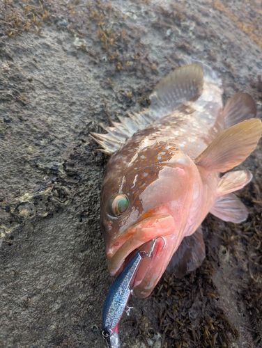 しまなみ海道