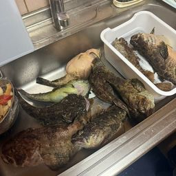 トウベツカジカ