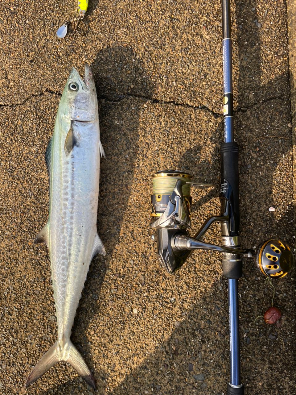 XESTA ランウェイSRF 10.3Mの最安値・インプレ・釣果 | 本音の口コミが