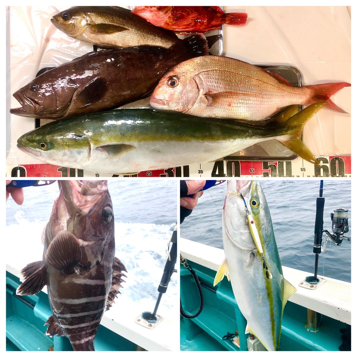 1/144さんの釣果 2枚目の画像