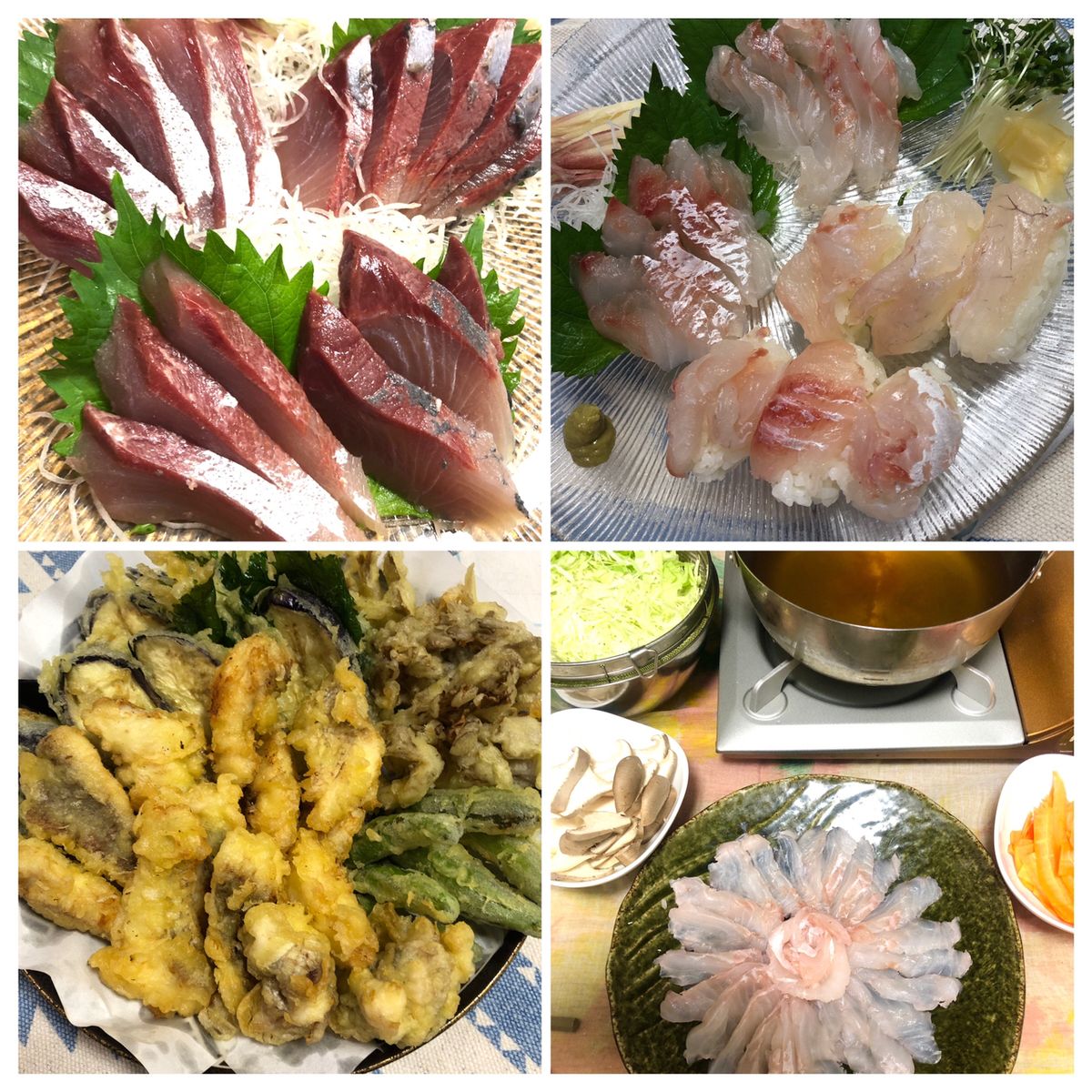 1/144さんの釣果 3枚目の画像