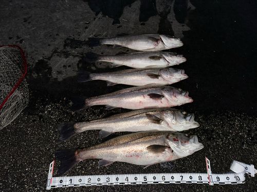 網代浜海水浴場