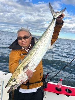 サワラの釣果