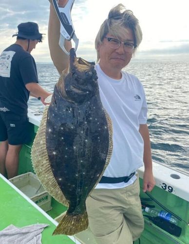 イナダの釣果