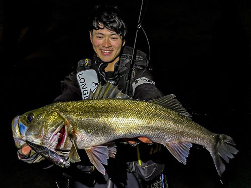 荒川河口