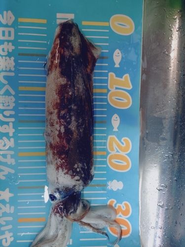 九十九湾