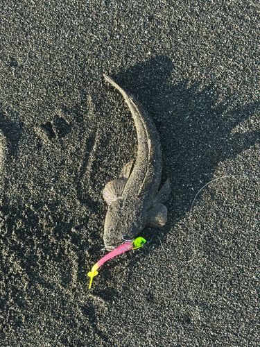 辻堂海浜公園前
