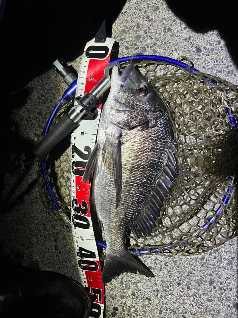 AbuGarcia ソルティーステージ KR-Xメバルカスタムの最安値・インプレ