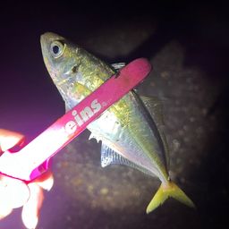 アジ