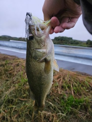 野田奈川