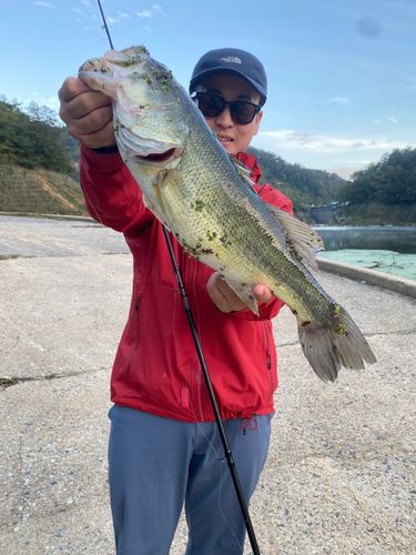 月ヶ瀬湖