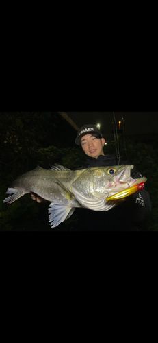 荒川中川合流
