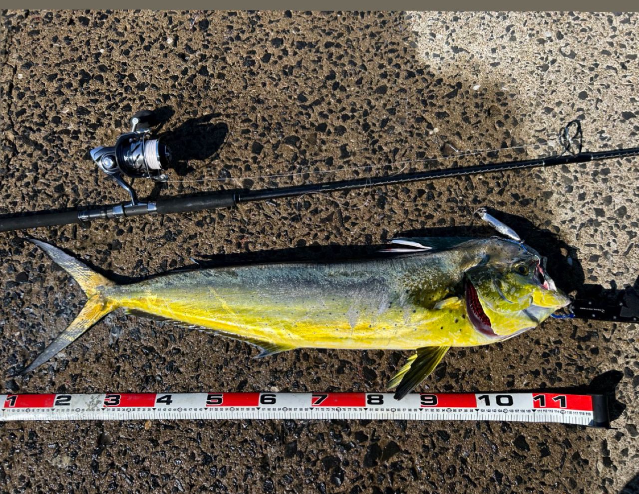 SHIMANO 20コルトスナイパー XR S98XHの最安値・インプレ・釣果