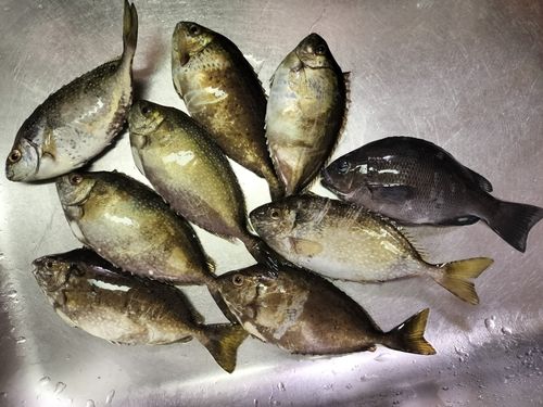 新和歌浦港