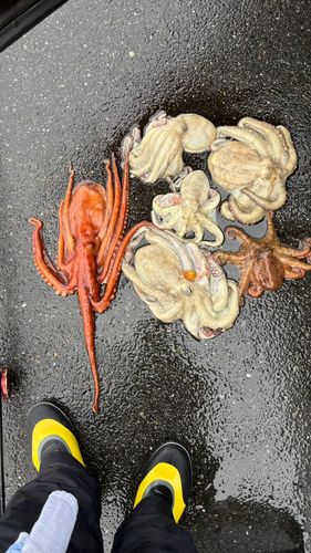 大津漁港