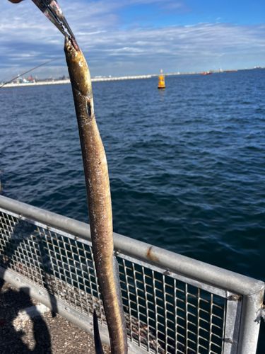 本牧海づり施設