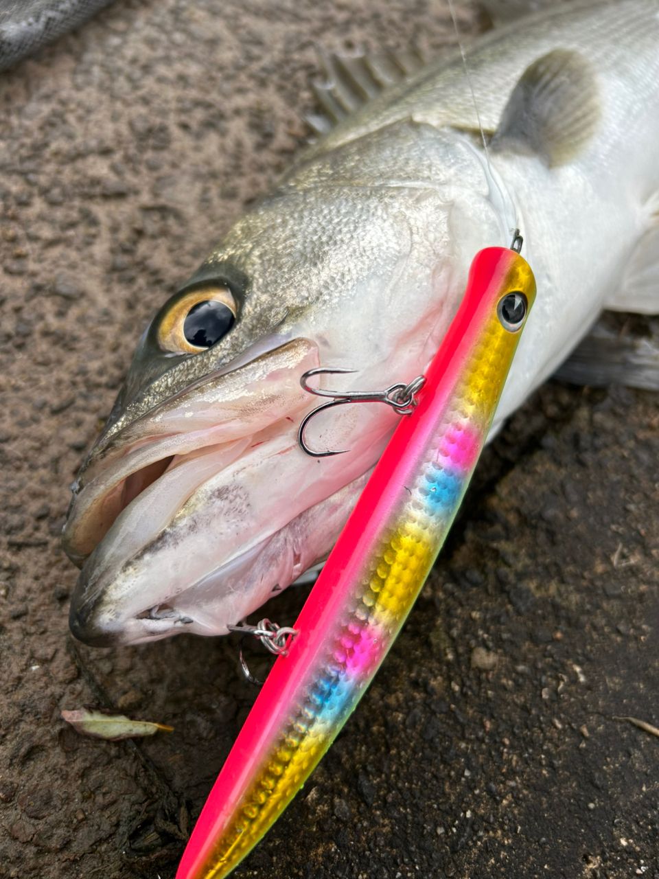 APIA 21フージン'RS 93Mの最安値・インプレ・釣果 | 本音の