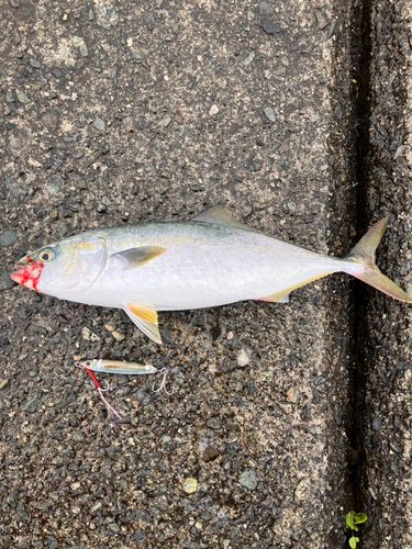 熱海港海釣り施設