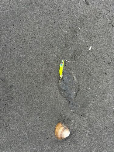 苫小牧東港一本防波堤