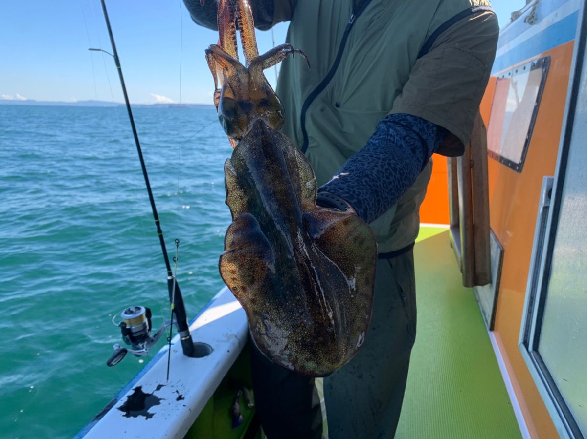 村本海事さんの釣果 3枚目の画像