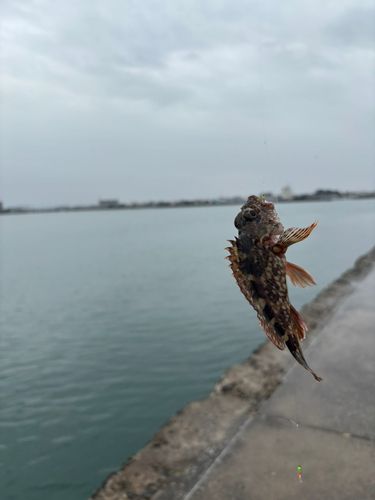 表浜名湖