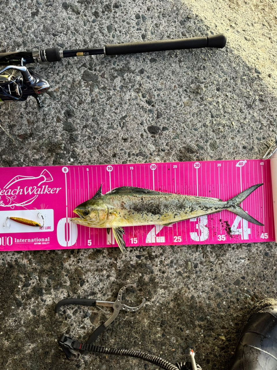 SHIMANO 22コルトスナイパーSS LSJ S100MLの最安値・インプレ・釣果