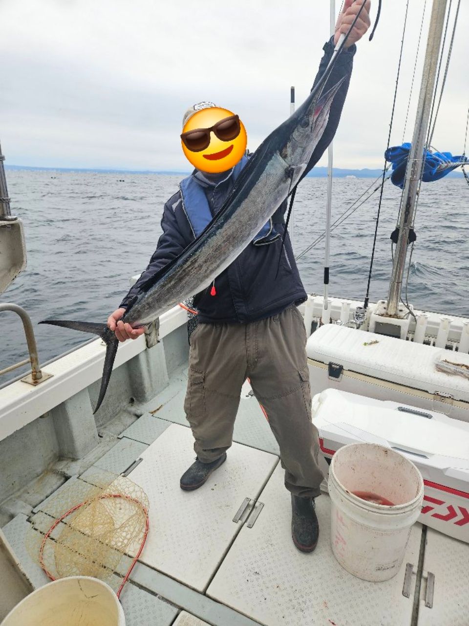 バショウカジキ